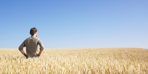 Naklejka na ściany i meble Young man in wheat field