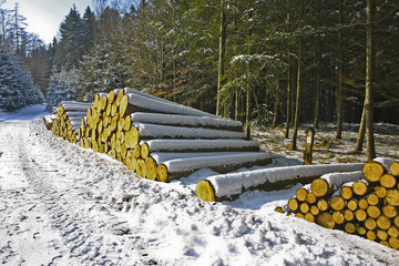 Holzstapel im Winter