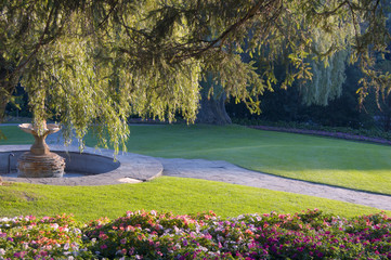 Fototapeta premium Park