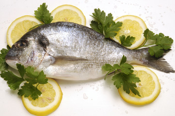 Orata cruda con limone e prezzemolo - Sparus auratus