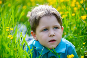 Small boy in meadow