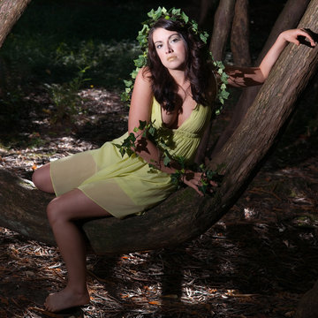 Nymph sitting on a tree