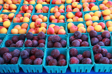 Plums and Nectarines
