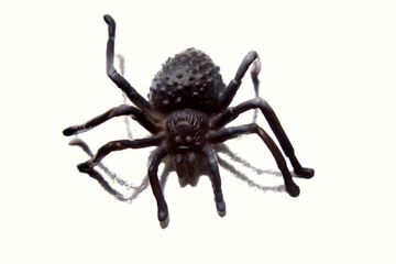 Plastic bug