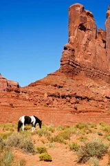 Deurstickers Paard in Monument Valley © Jan-Dirk