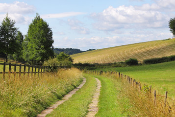 Fototapeta na wymiar English Landscape with Farm track