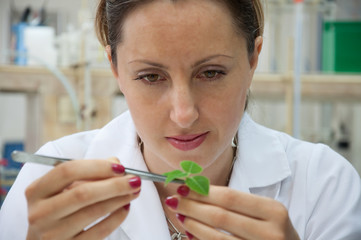 researcher with a green plant