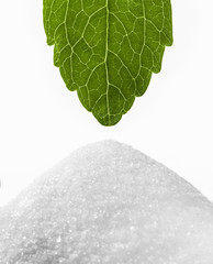 Stevia Rebaudiana-Süsskraut