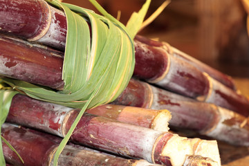 morceaux de canne à sucre