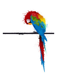 Naklejka premium vector parrot parakeet, graffiti