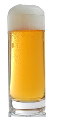 Beer with foam. Clipping path