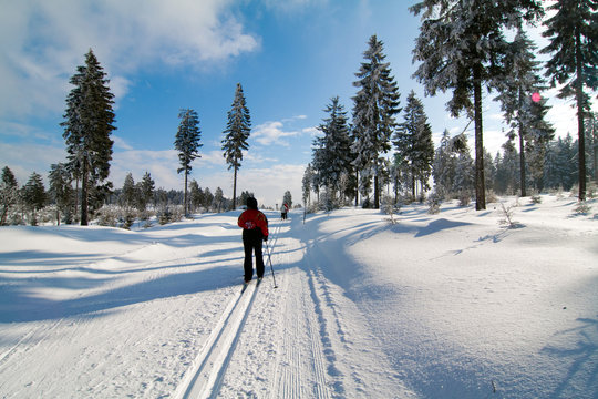 Langlauf im Winterwald