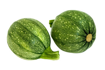 marrow