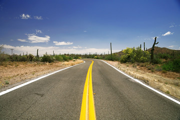 road in the Organ Pipe National Monument, Arizona, USA