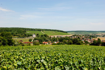 Fototapeta na wymiar Vignes, Village de Bligny (Aube)