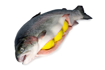 fish raw Wuhan corona virus  seafood market pneumonia virus COVID 19