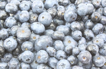 Blueberries everywhere