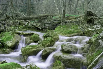 Foto op Plexiglas rushin water in a forest © Yuriy Kulik