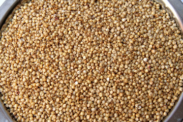 Jowar/Sorghum Grains