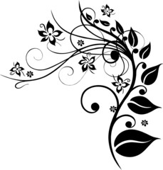 Blumen, Pflanze, Ranke, Blätter, Laub, filigran