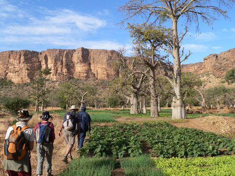 trekking pays dogon