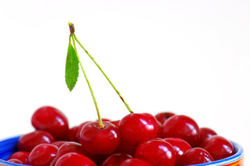 Cherry fruit close-up
