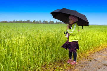 Umbrella