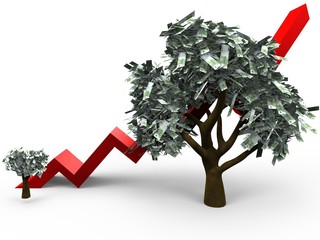 growth of a money tree