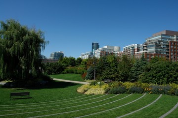 Fototapeta premium Toronto
