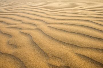 Sand