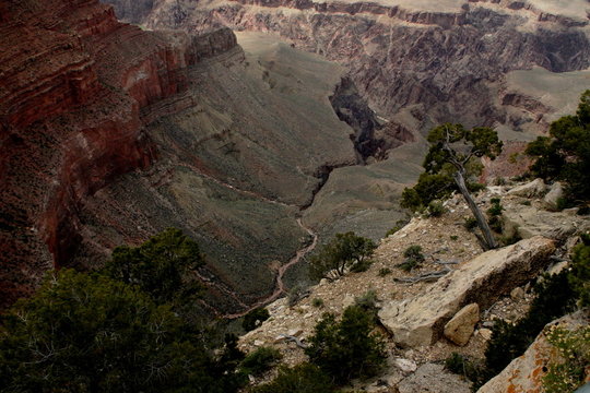 colorado river in the Grand Cayon