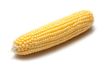 SIngle isolated corn cob on white background