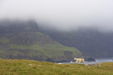 Waterstein Head im Nebel