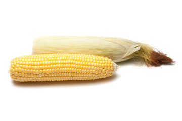 Maize kernels