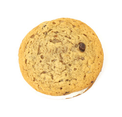 Chocolate chip creme cookie