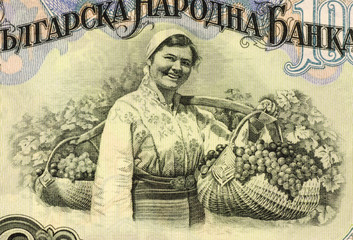 Woman Harvesting Grapes on 100 Lev 1951 Banknote from Bulgaria