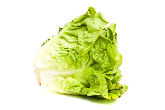 lettuce isolated