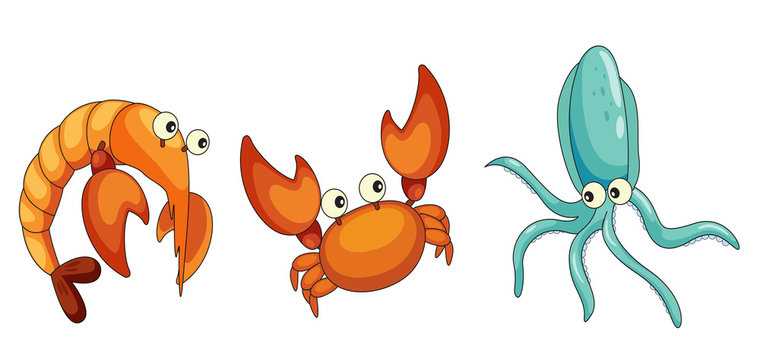 illustration of crab, prawn and octopus
