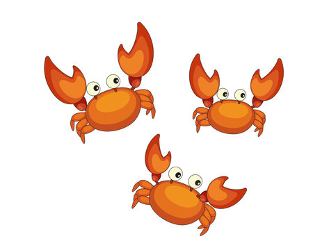 illustration of three crabs on white