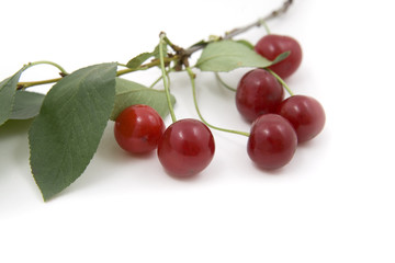 Cherries; objects on white background