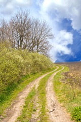 Spring rural road