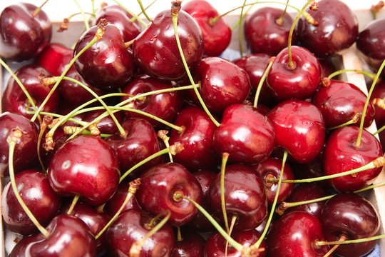 lots of fresh, red cherries. summer background