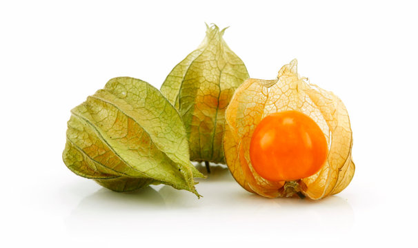 Cape Gooseberry (Physalis) Isolated on White