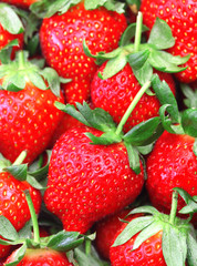 strawberry