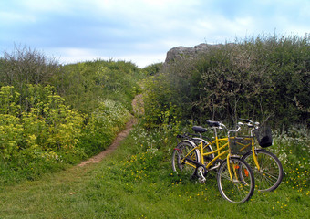 Obraz premium bretagne vélos sur sentier de brehat