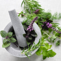 frische kräuter im stein-mörser © emmi