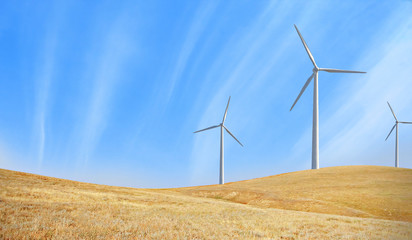 wind mills in fields