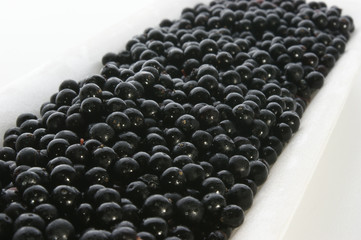 elderberries on a styrofoam container