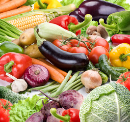 Vegetables on a white background