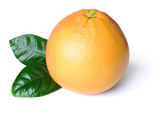Grapefruit